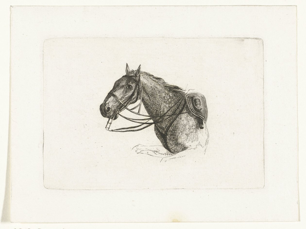 Cabeça de cavalo para a esquerda
Cabeças de cavalo para Dirk Langendijk (título da série) de Joannes Bemme
