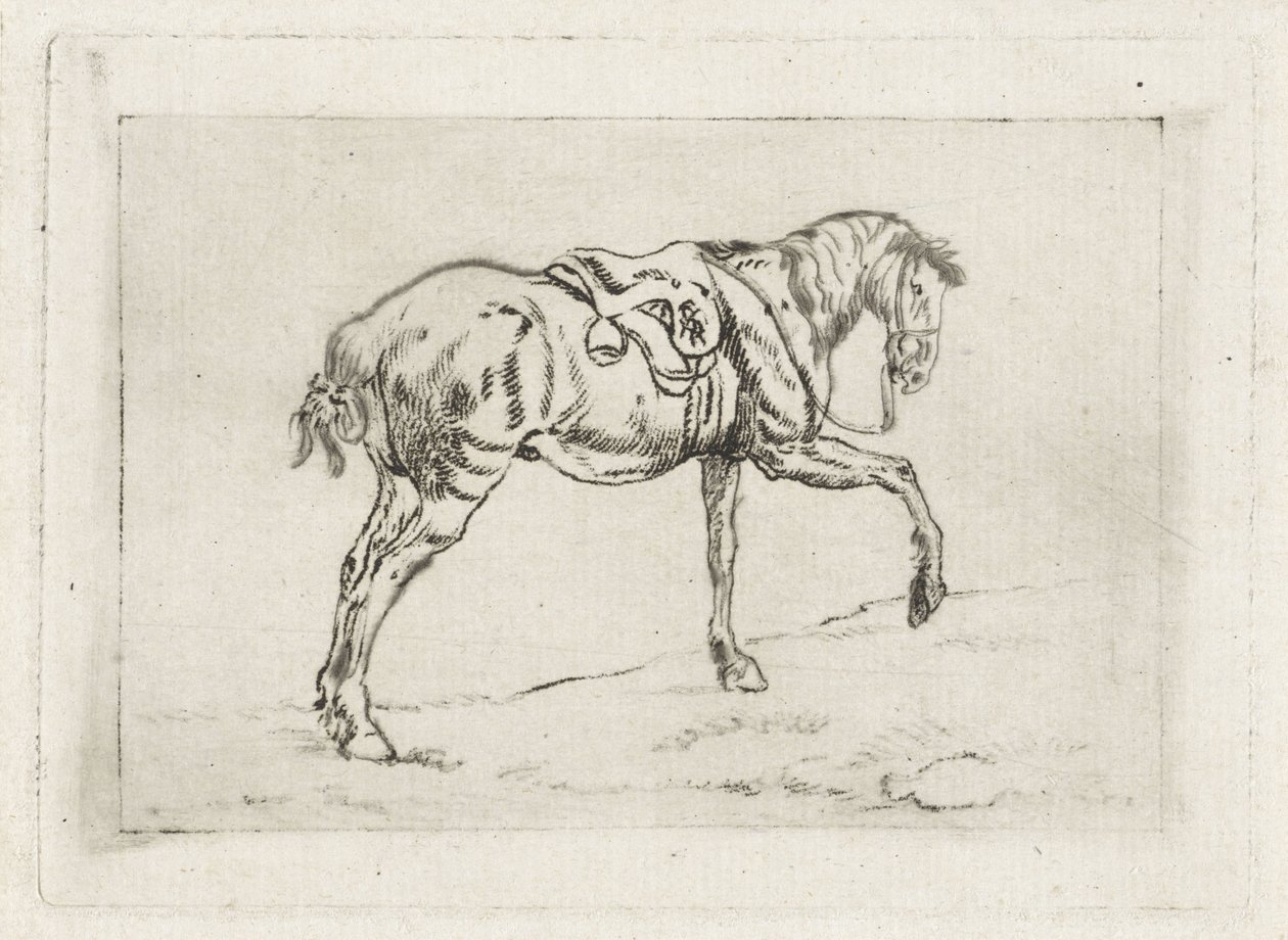 Cavalo selado de Joannes Pieter Visser Bender
