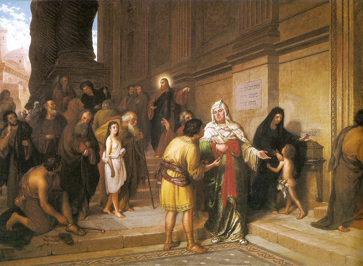 O ácaro das viúvas de Joao Zeferino da Costa