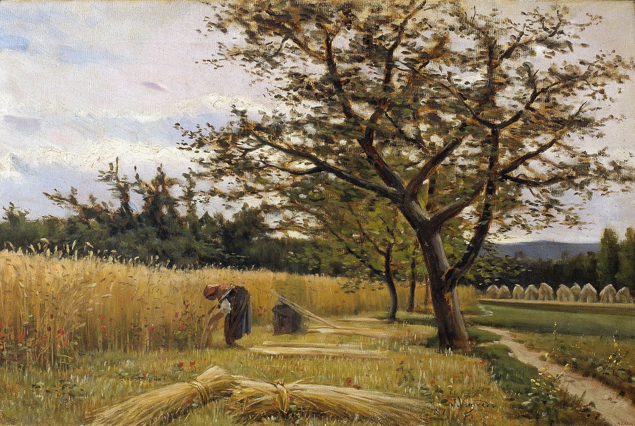Colher de Joaquim Vayreda