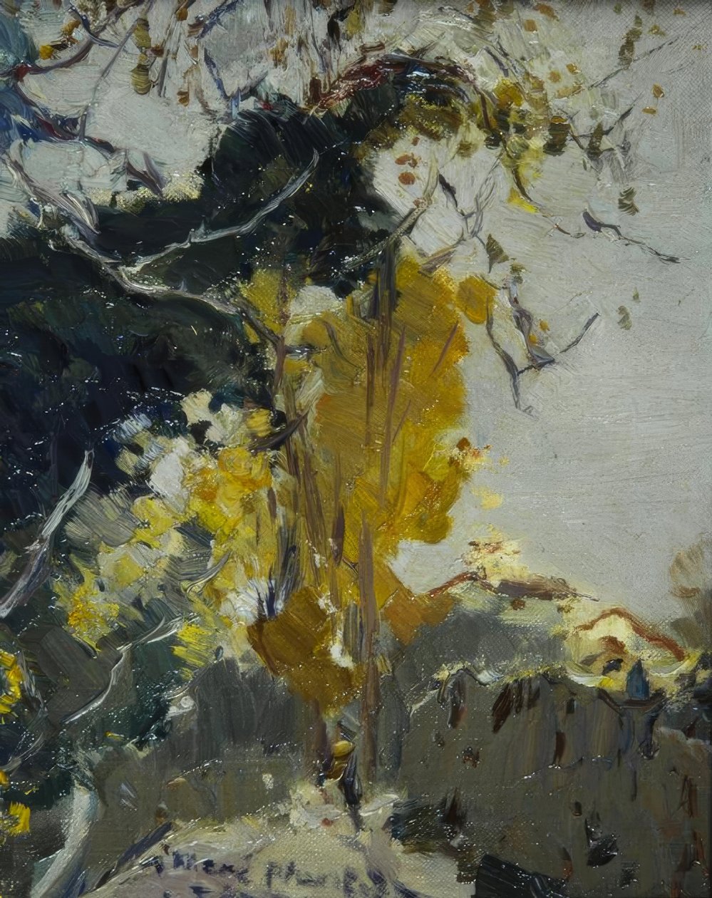 Árvore de Joaquim Mir i Trinxet