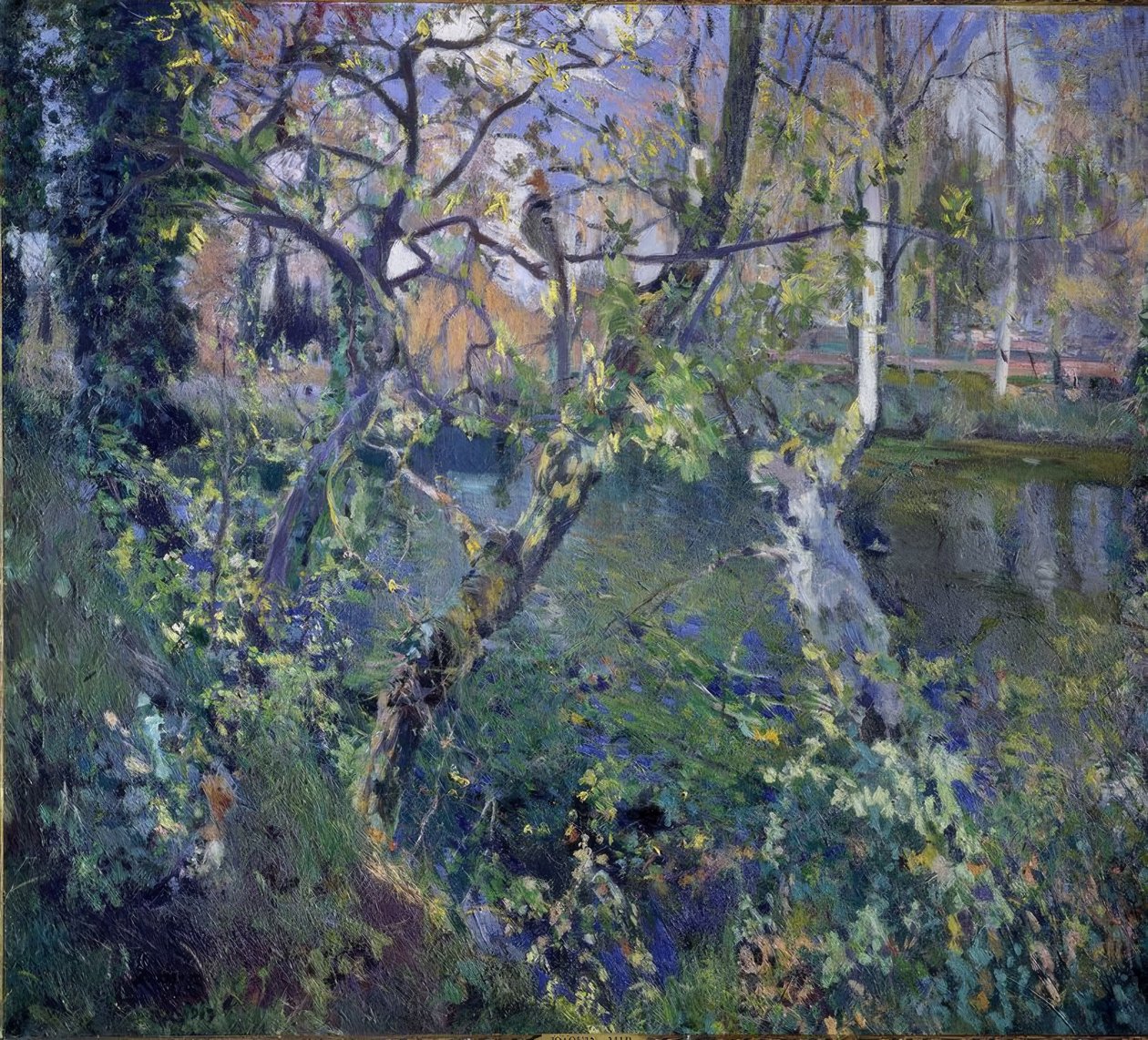 A Chuva de Moguda de Joaquim Mir i Trinxet