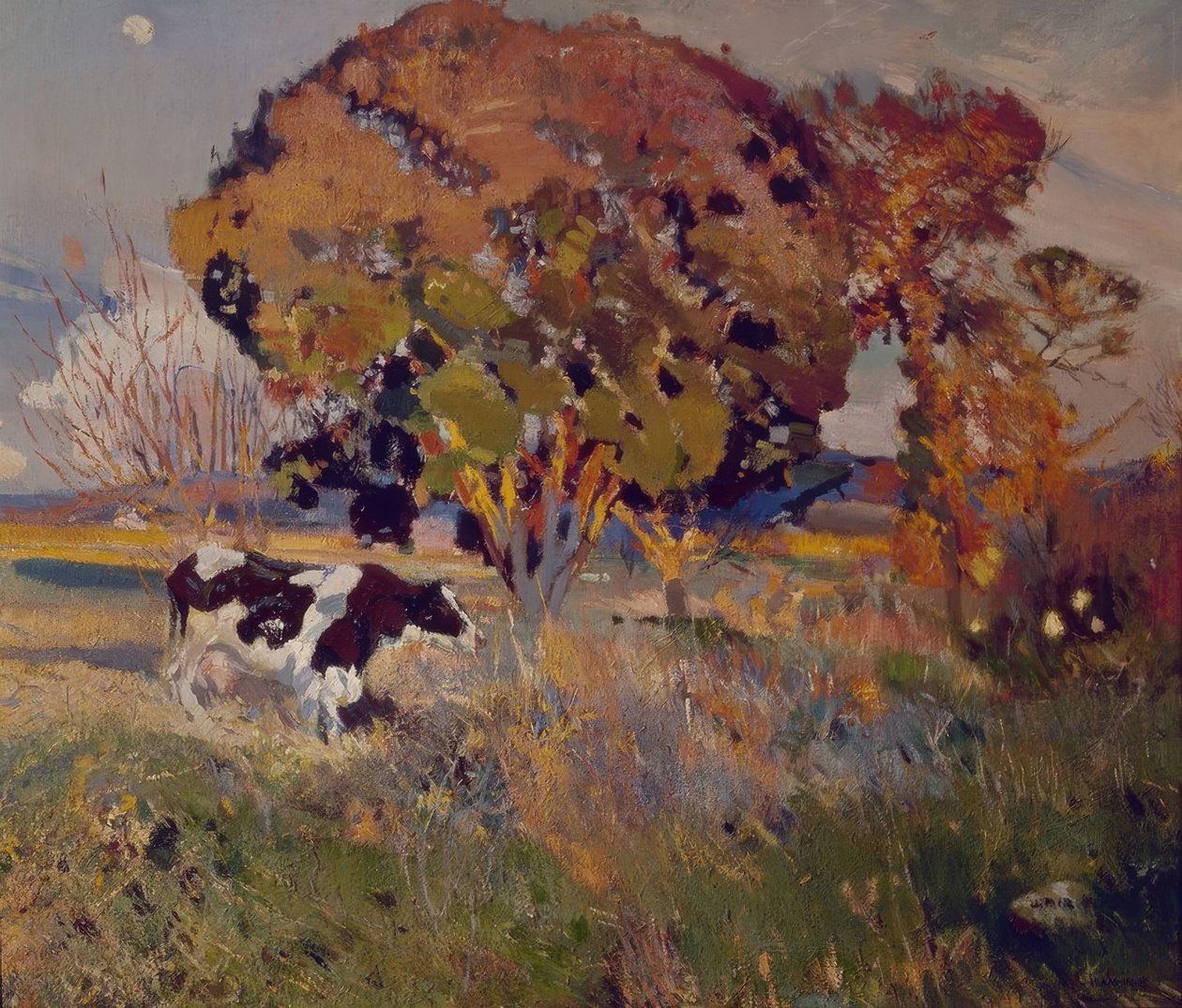 A vaca e o carvalho de Joaquim Mir i Trinxet