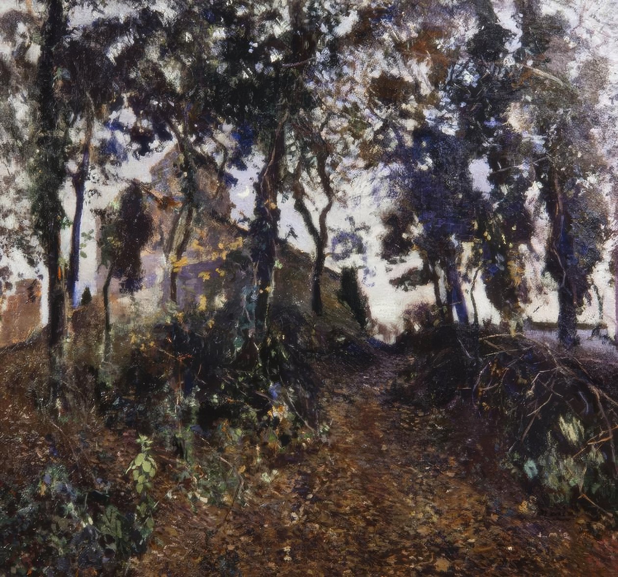 Jardim de Joaquim Mir i Trinxet
