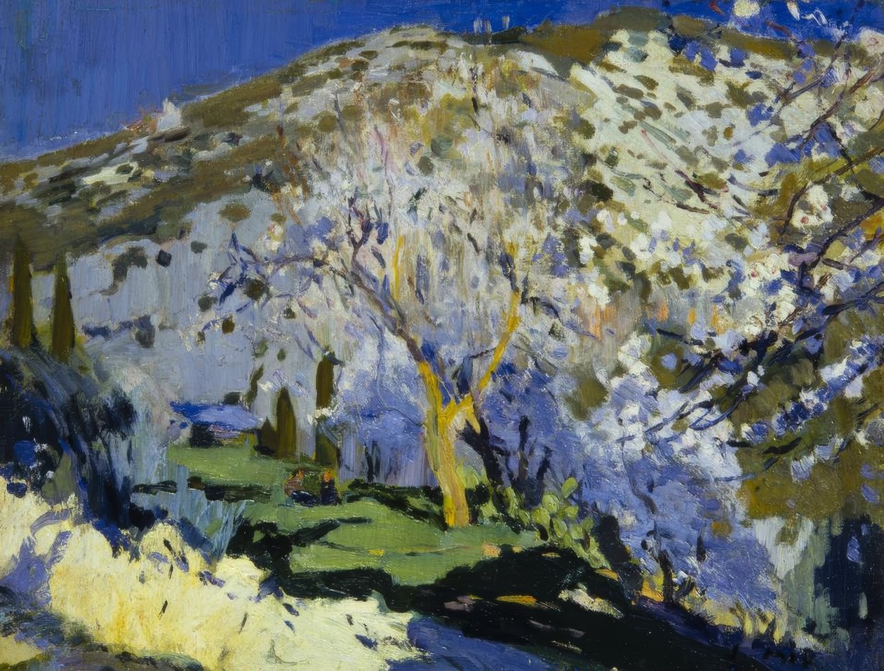 Paisagem de Joaquim Mir i Trinxet