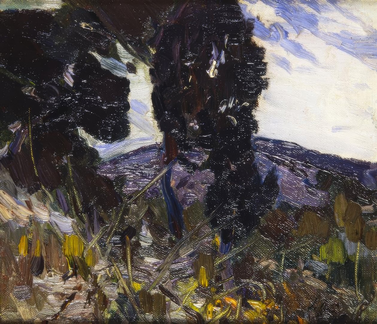 Paisagem de Joaquim Mir i Trinxet