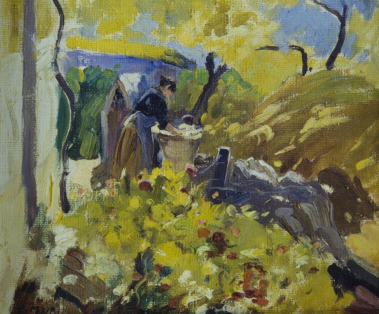 Lavadoras de roupa de Joaquim Mir i Trinxet