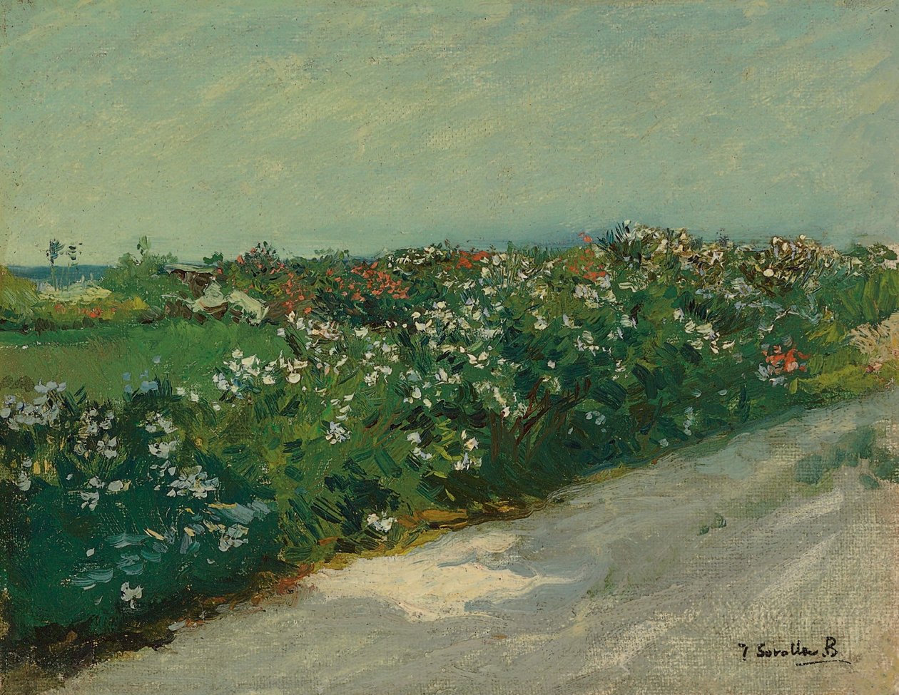 Malvarrosa de Joaquín Sorolla
