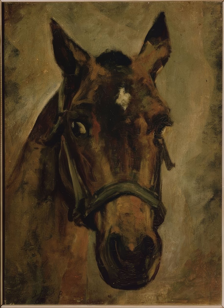 CABEZA DE CABALLO. Artista: JOAQUIN SOROLLA. Local: COLEÇÃO PRIVADA, MADRID, ESPANHA de Joaquín Sorolla