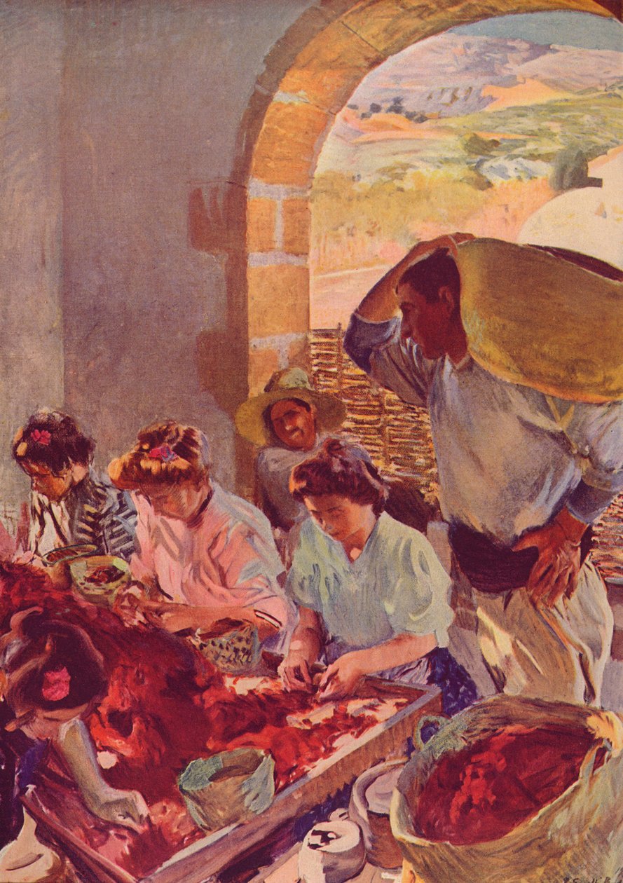 A preparação de uvas secas, 1890, c1932 de Joaquín Sorolla