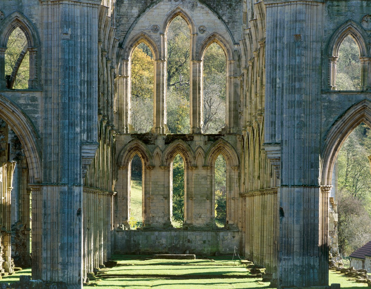 Abadia de Rievaulx, c1990-2010 de Joe Cornish