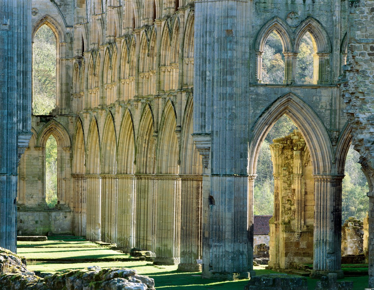 Abadia de Rievaulx, c1990-2010 de Joe Cornish