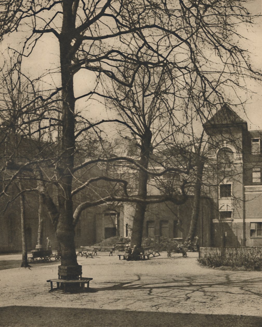 Sob os olmos no pátio do Middlesex Hospital, c1935. de Joel