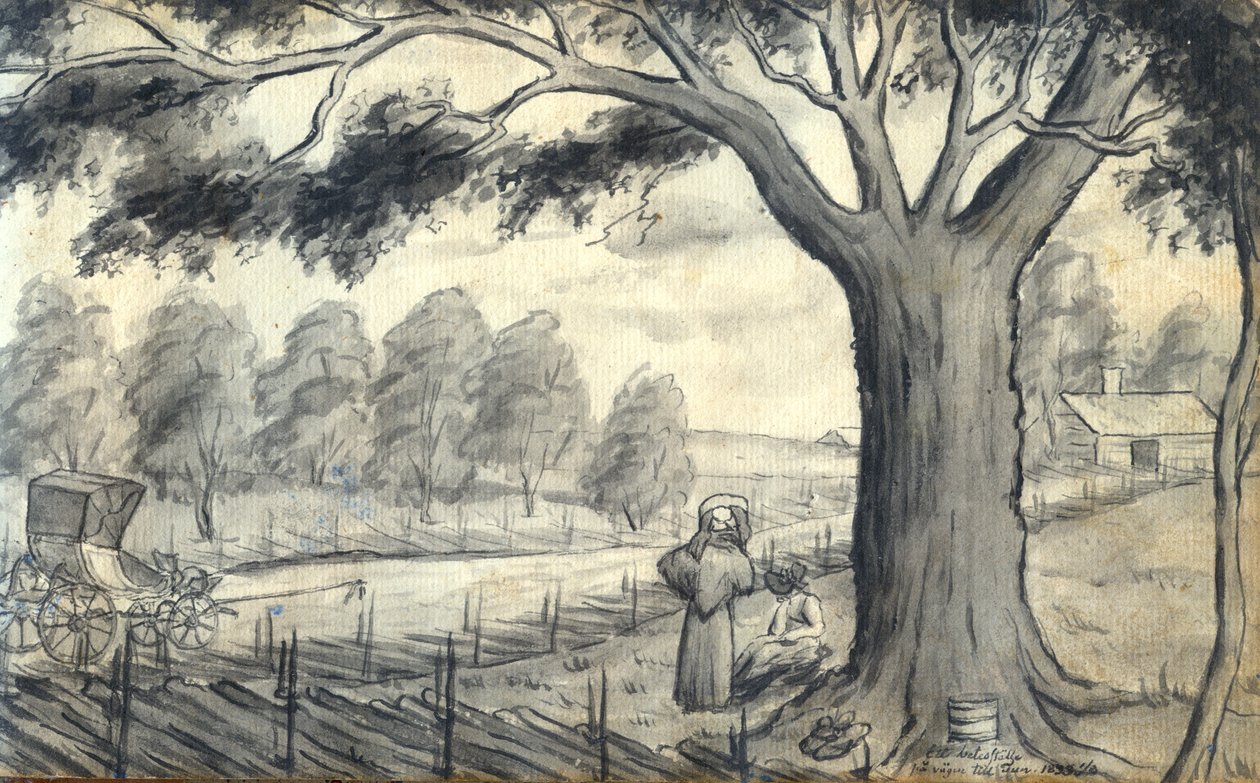 Um lugar de pasto no caminho para Tun de Johan Gustaf Thun