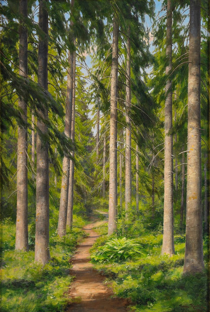 Caminho da floresta iluminado pelo sol de Johan Fredrik Krouthen
