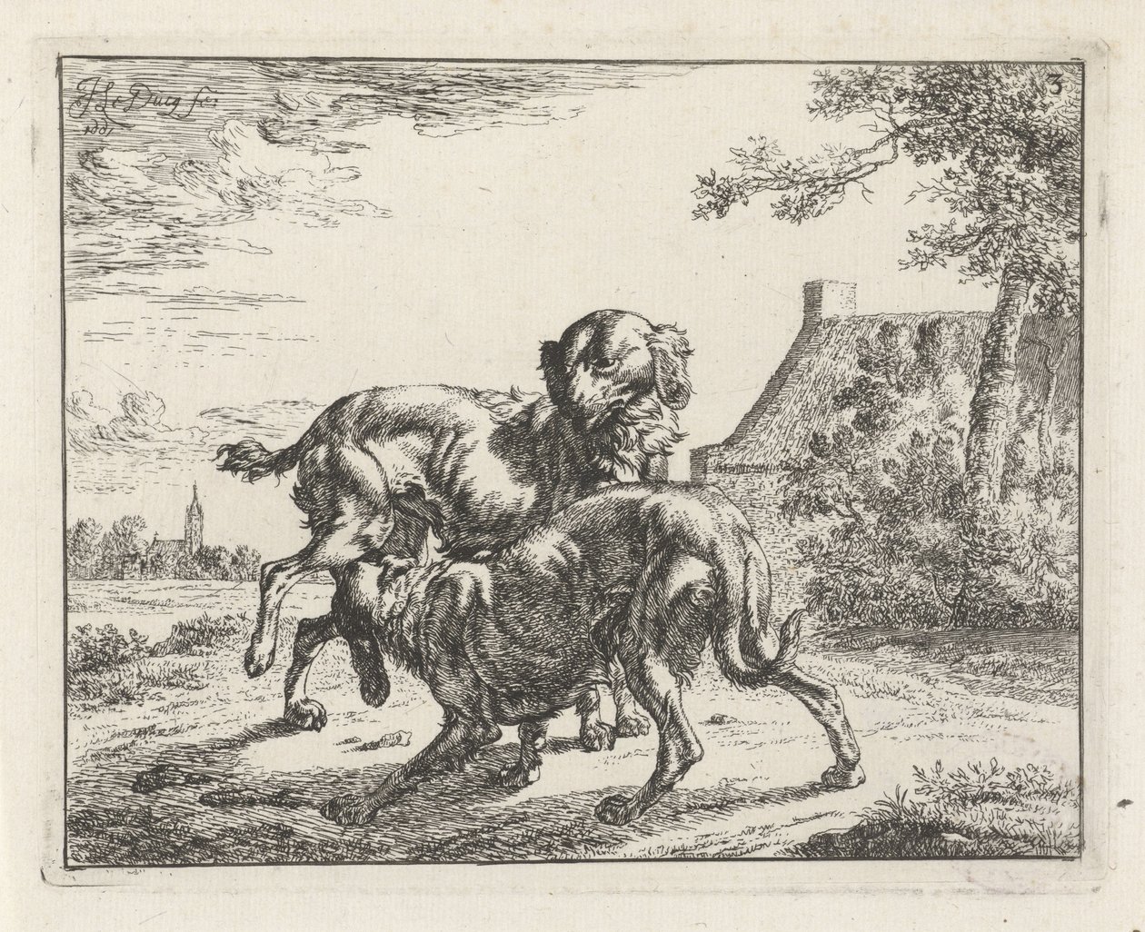 Cão e cadela de Johan le Ducq
