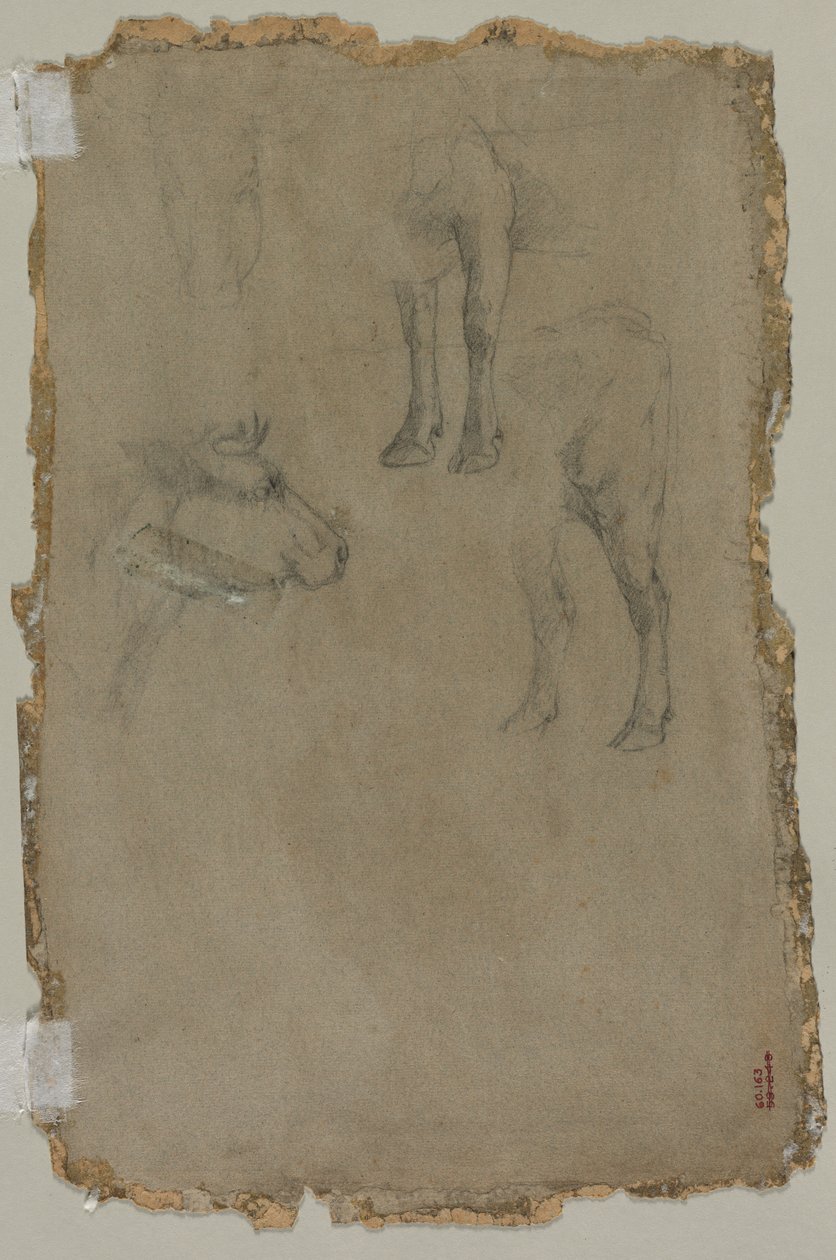 Estudos de um touro, 1864. de Johan Barthold Jongkind