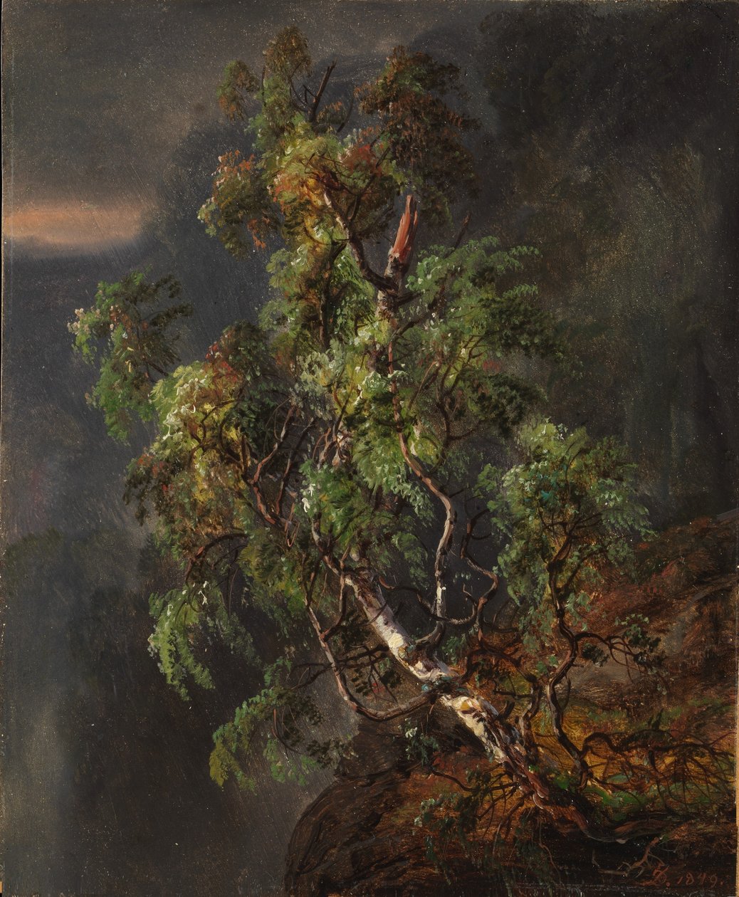 Bétula numa tempestade de Johan Christian Dahl