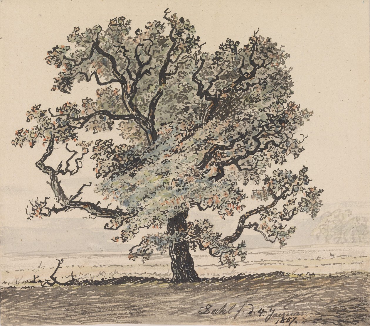 Pinheiro na planície de Johan Christian Dahl