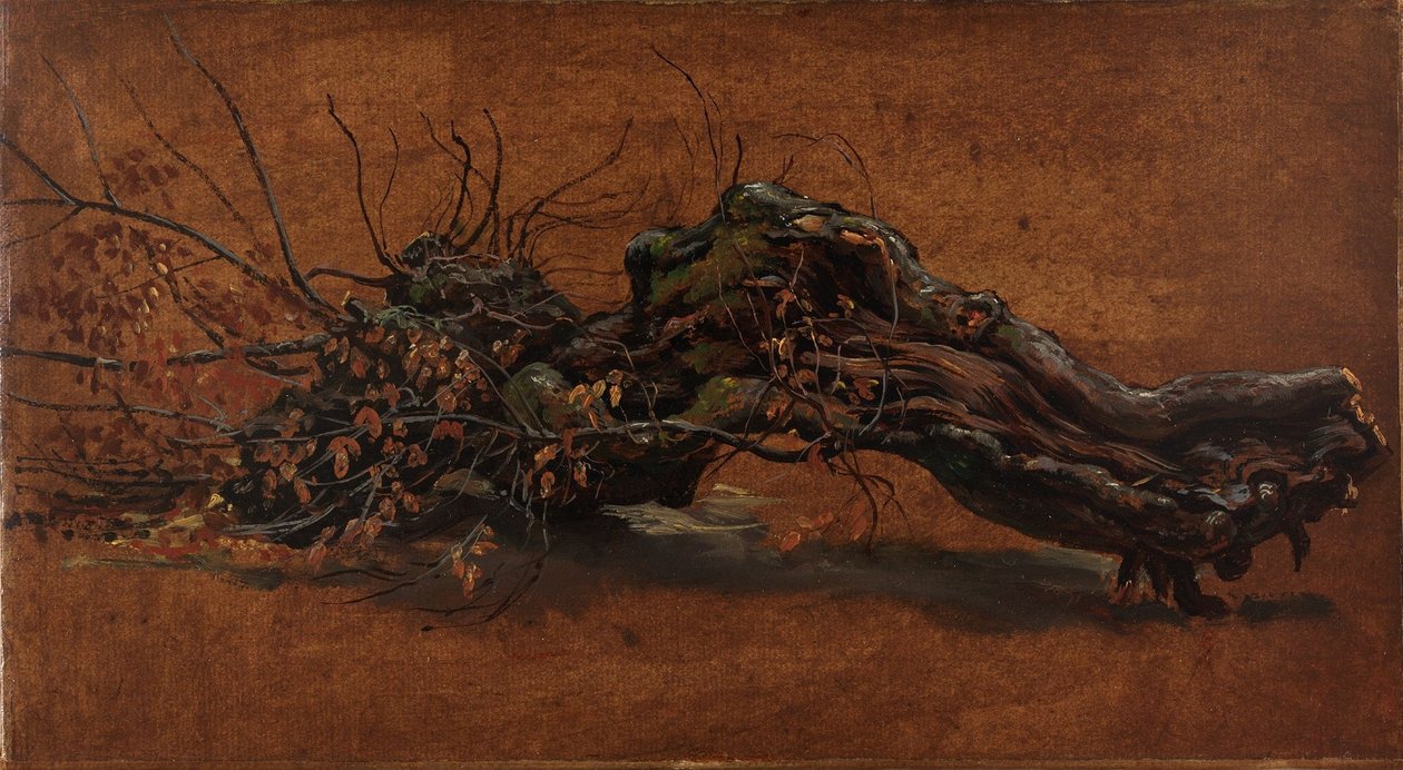 Estudo de um ramo nodoso de Johan Christian Dahl