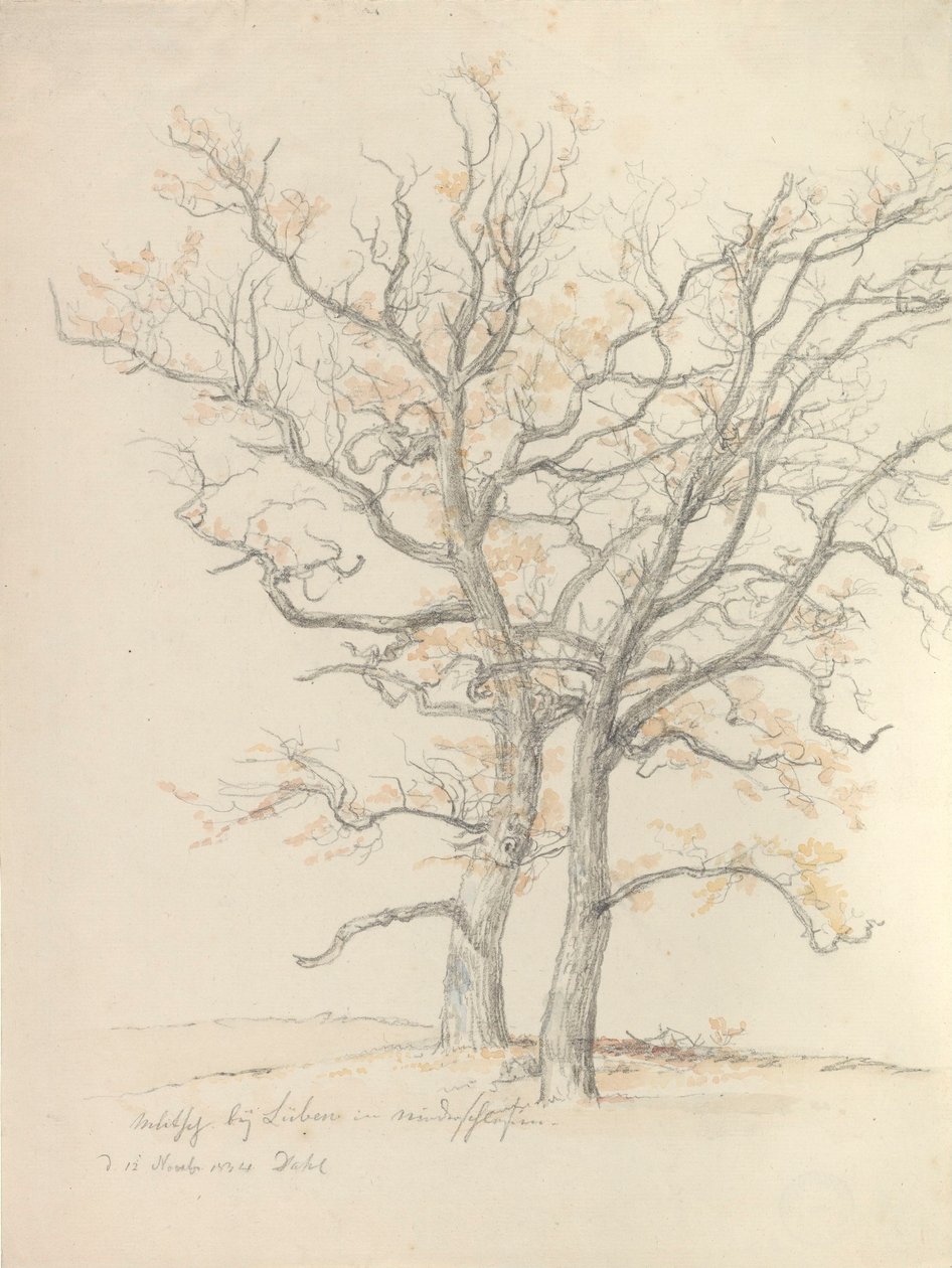 Dois carvalhos de Johan Christian Dahl