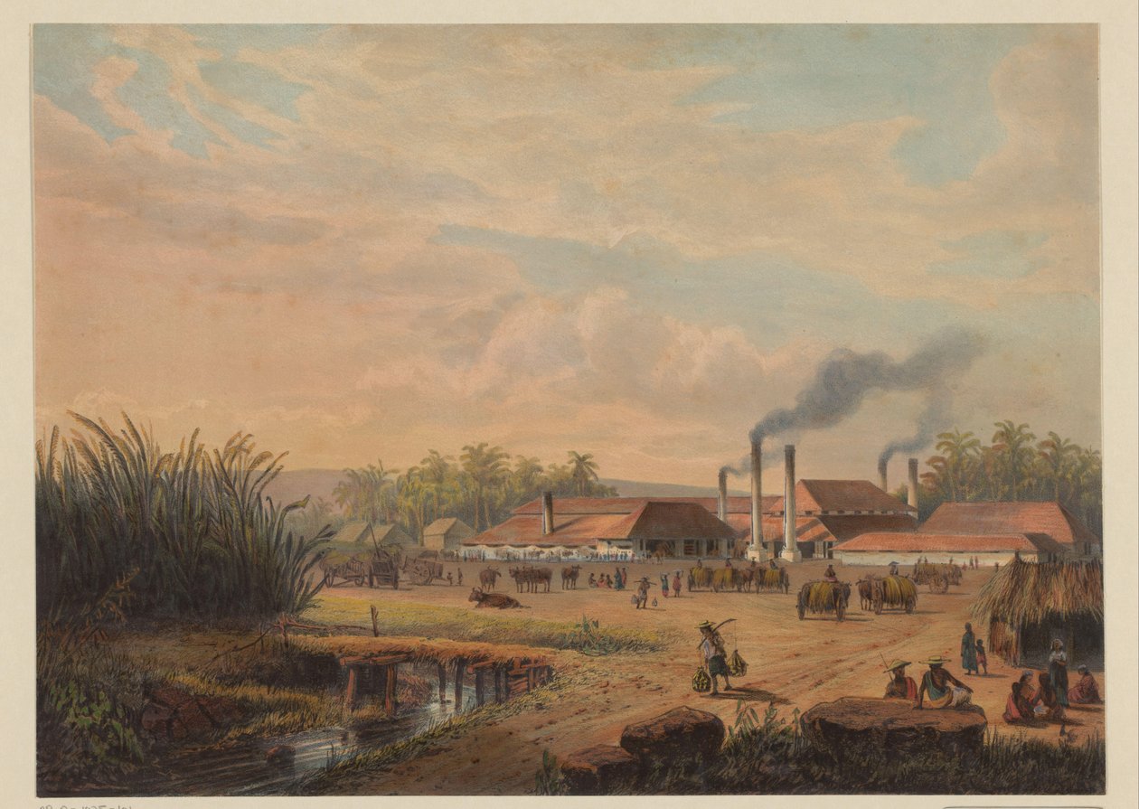 Vista da fábrica de açúcar em Pangka Fábrica de açúcar Pangka (Residence Tagal) (título no objeto) de Johan Conrad Greive