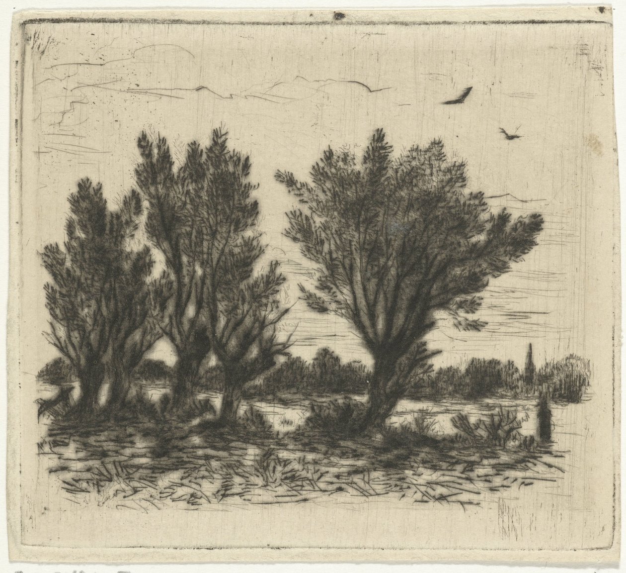Fila do Salgueiro de Johan Frederik Croockewit