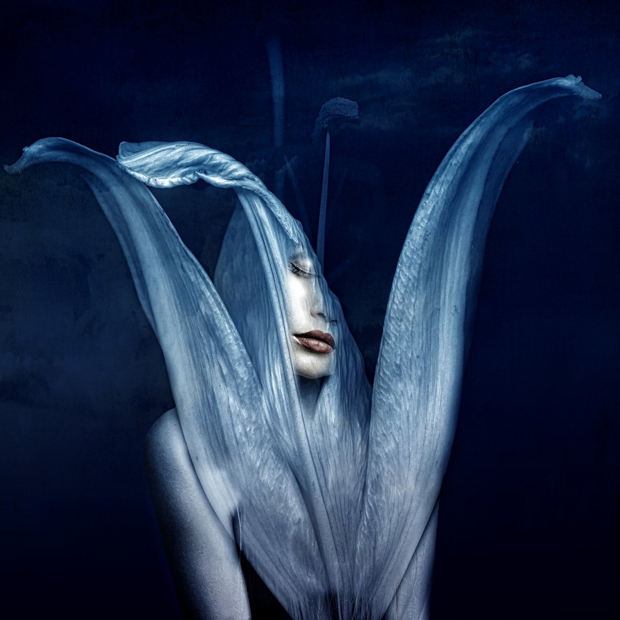Belos monstros 3, 2018 (arte fotográfica digital) de Johan Lilja