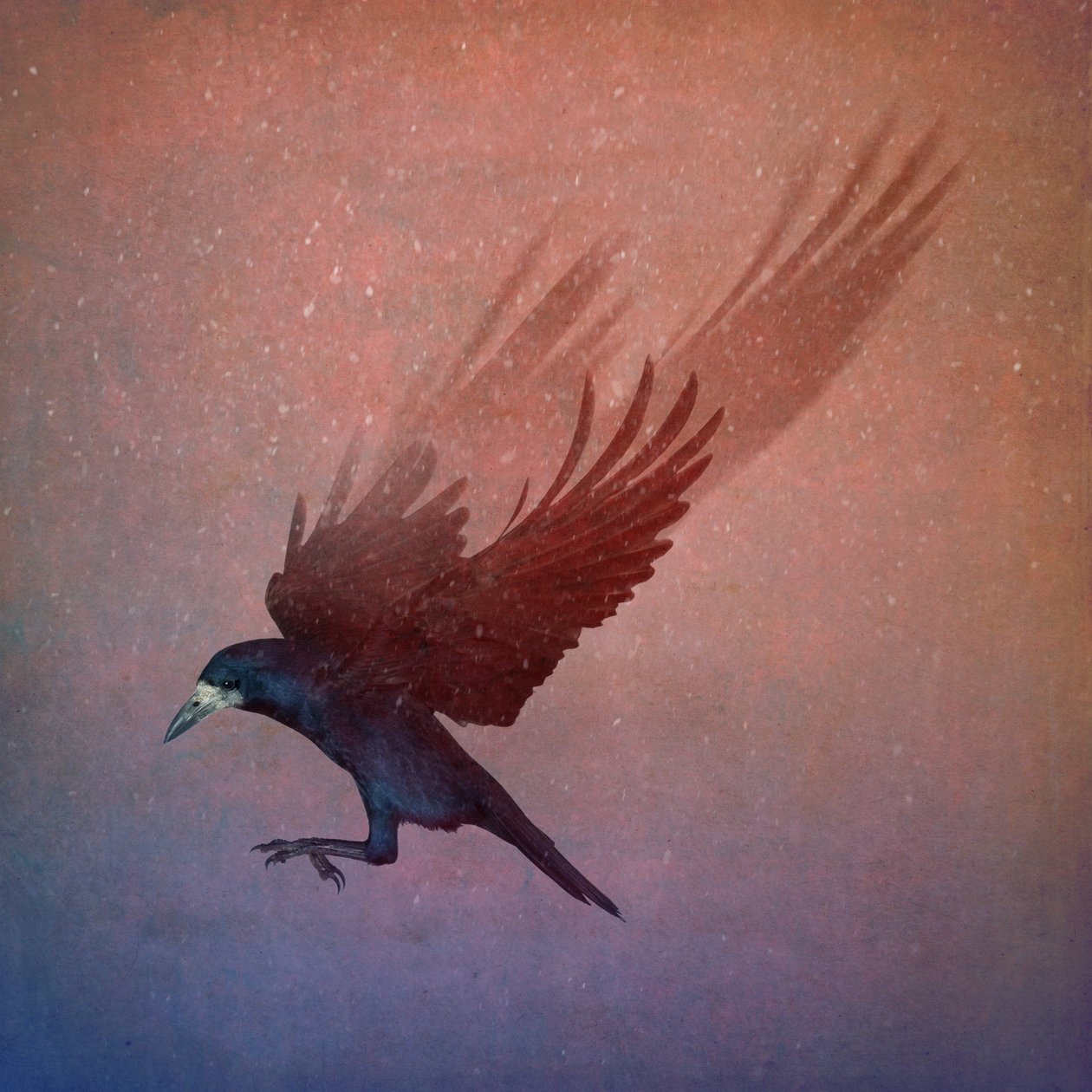 Bird Kingdom, 2018 (arte fotográfica) de Johan Lilja