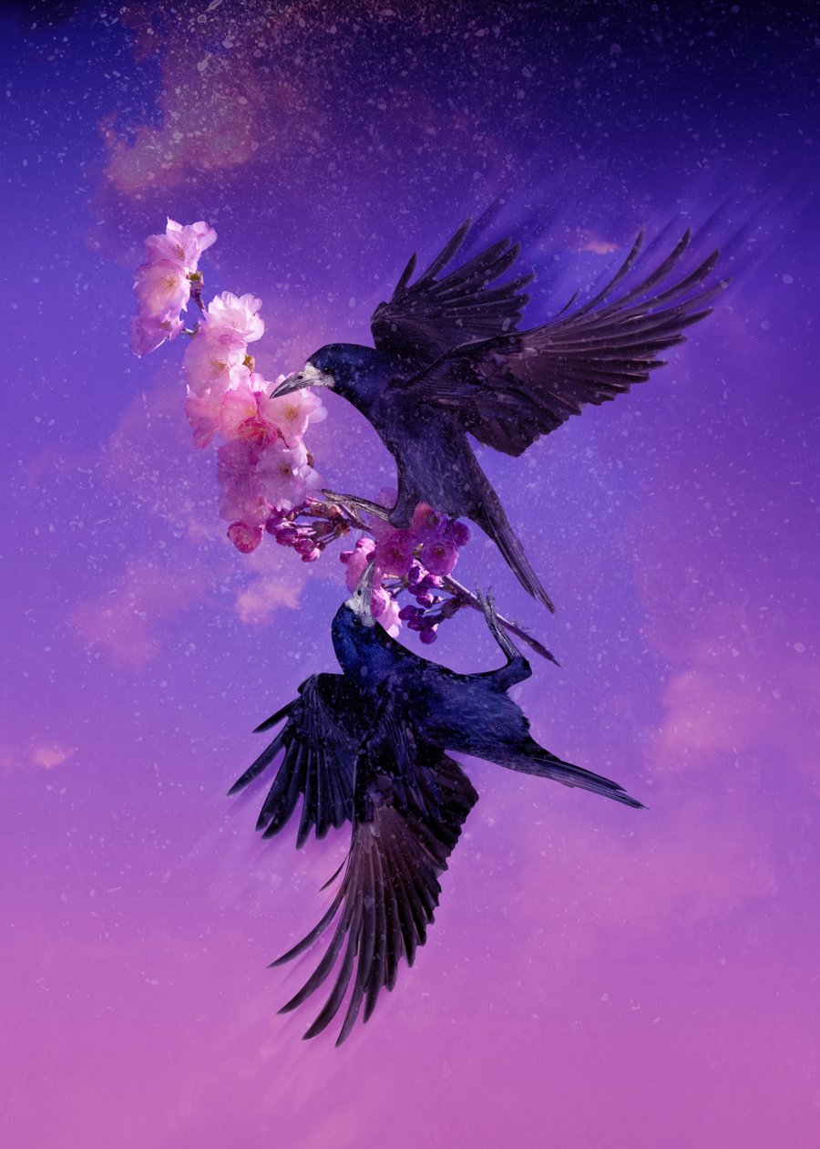 Bird Kingdom 5, 2018 (arte fotográfica digital) de Johan Lilja