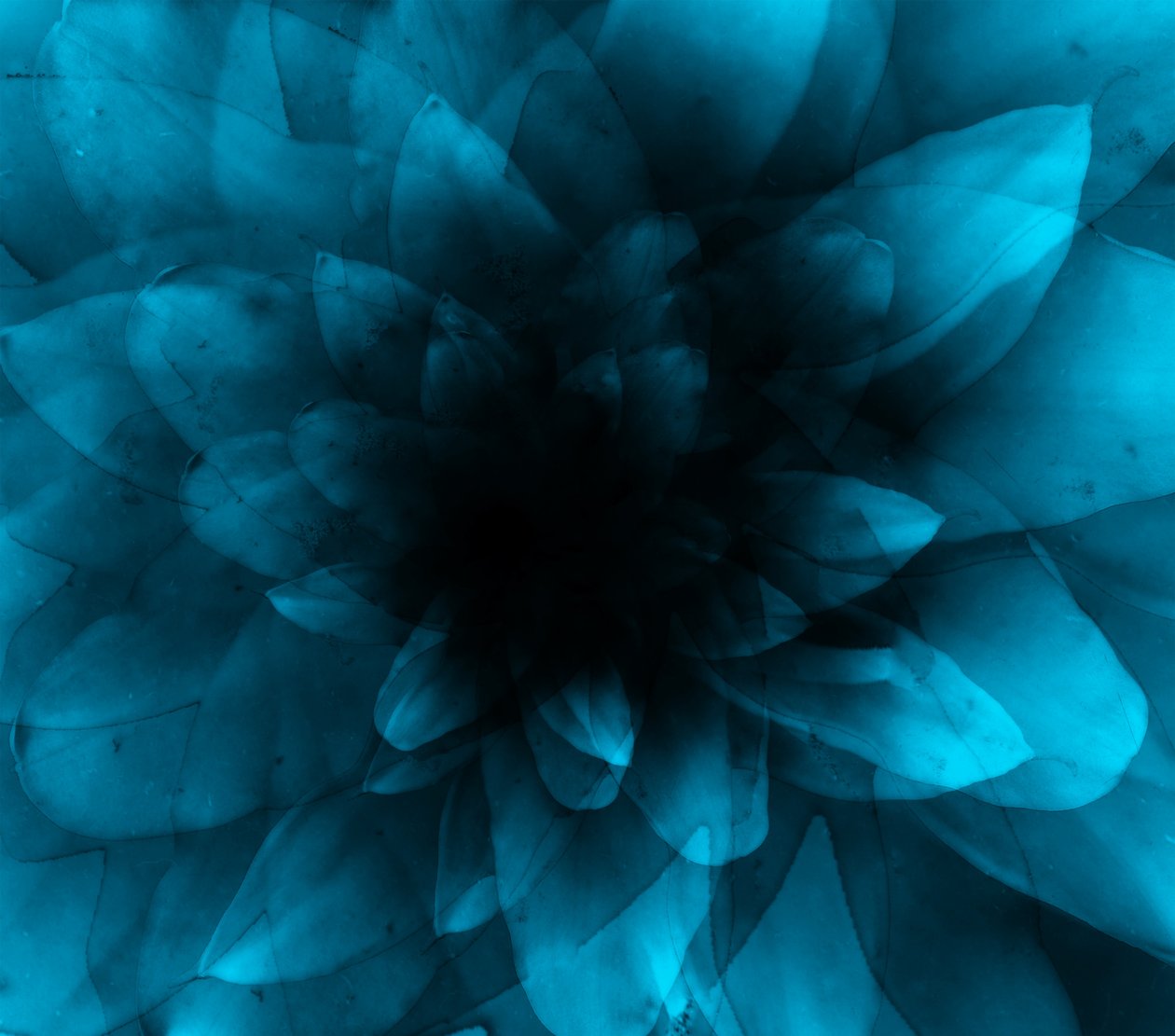 Flor azul, 2016 (impressão de arte digital) de Johan Lilja