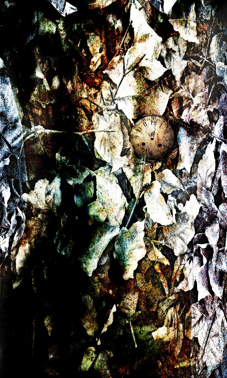 Coração, 2012 (manipulação de fotos) de Johan Lilja