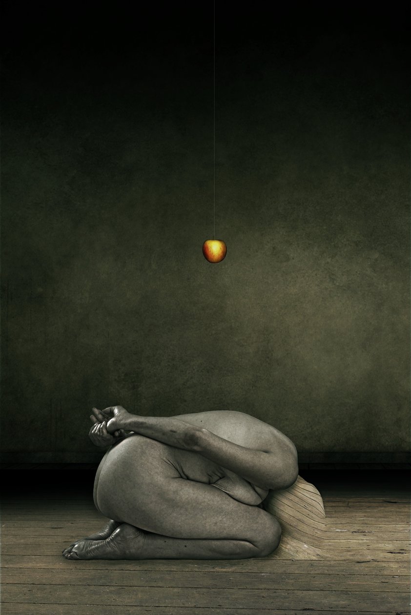 Hide my self, 2013 (manipulação de fotos) de Johan Lilja