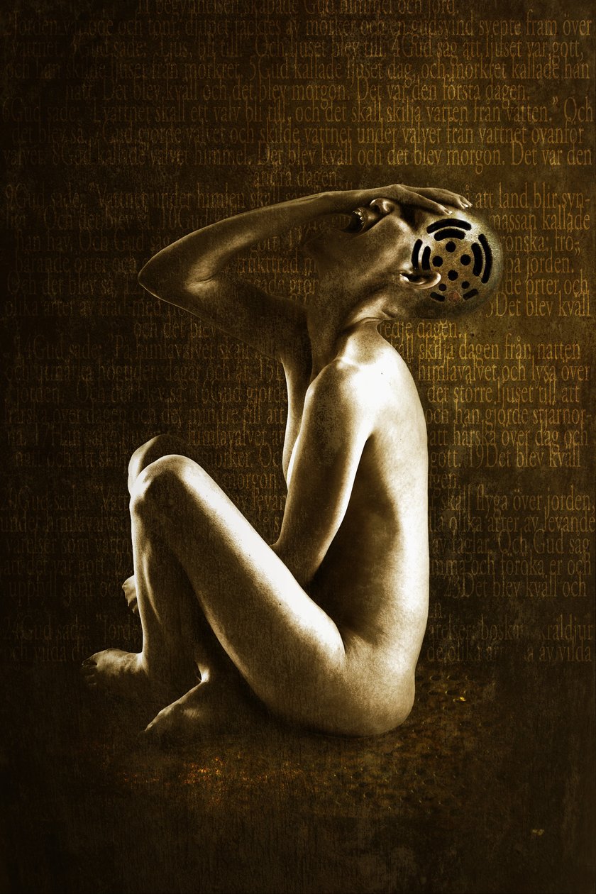 Grito, 2013 (manipulação de fotos) de Johan Lilja