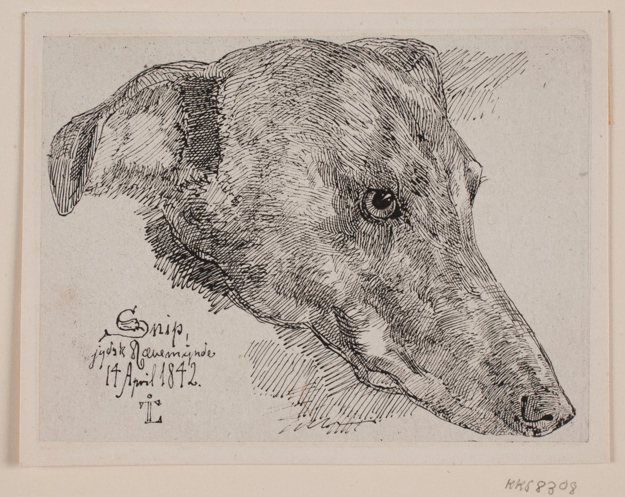 Dinamarquês: Hundehoved, Snip de Johan Lundbye