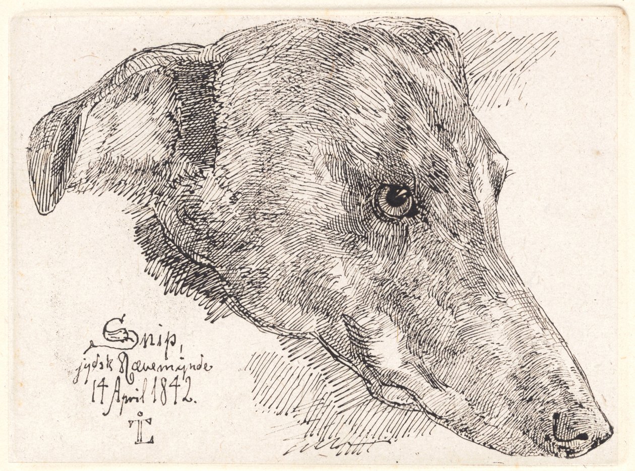 Dinamarquês: Hundehoved, Snip de Johan Lundbye