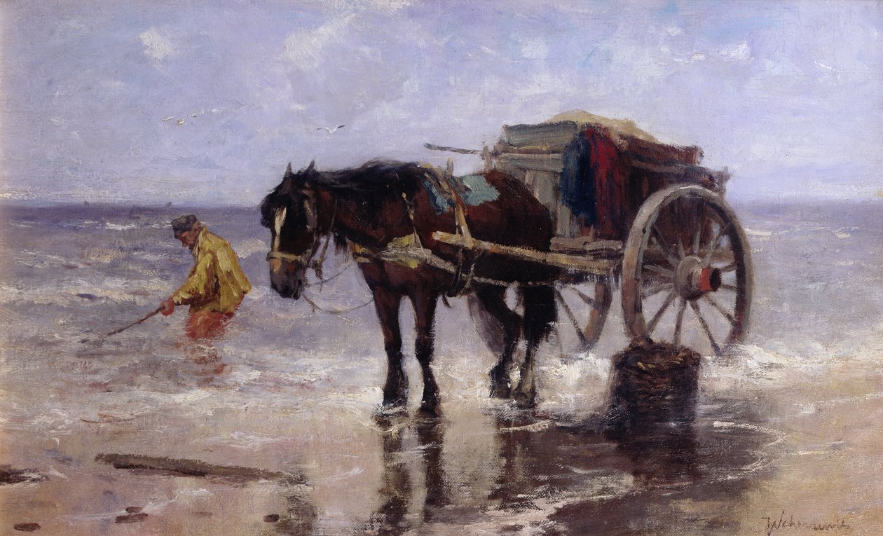 O Colector de Amêijoas (óleo sobre tela) de Johan Scherrewitz