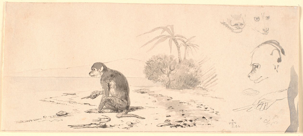 O gato macaco. º. estudos de cabeças de macaco etc. de Johan Thomas Lundbye