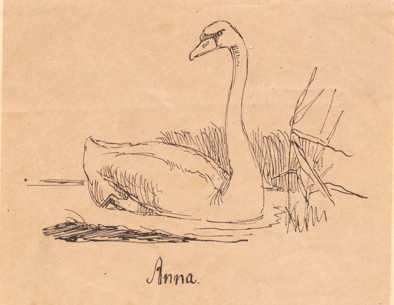 Um cisne de Johan Thomas Lundbye