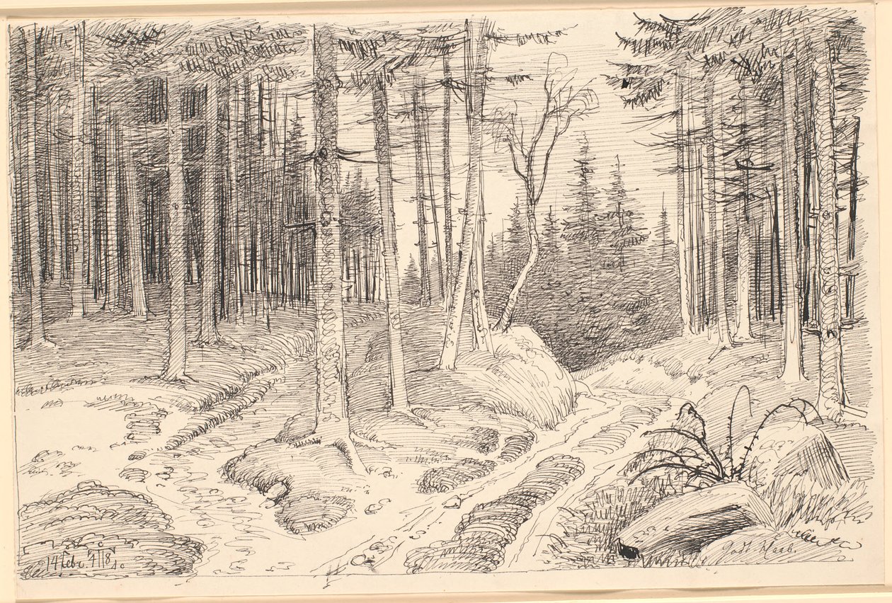 Estrada oca através de uma floresta de abetos de Johan Thomas Lundbye