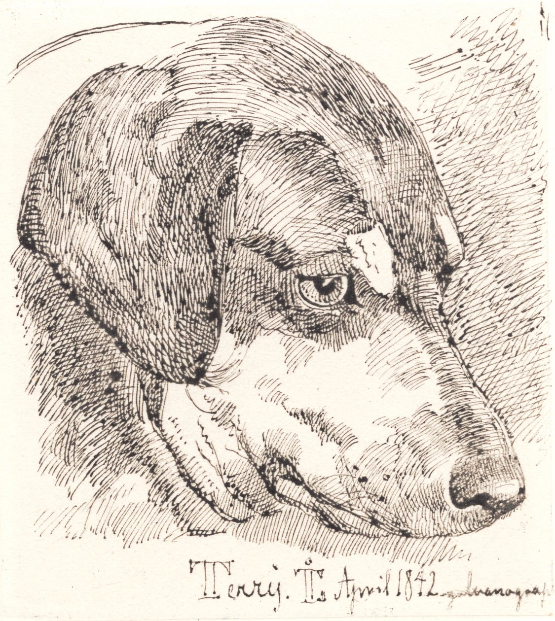 Hundehoved, Terry de Johan Thomas Lundbye