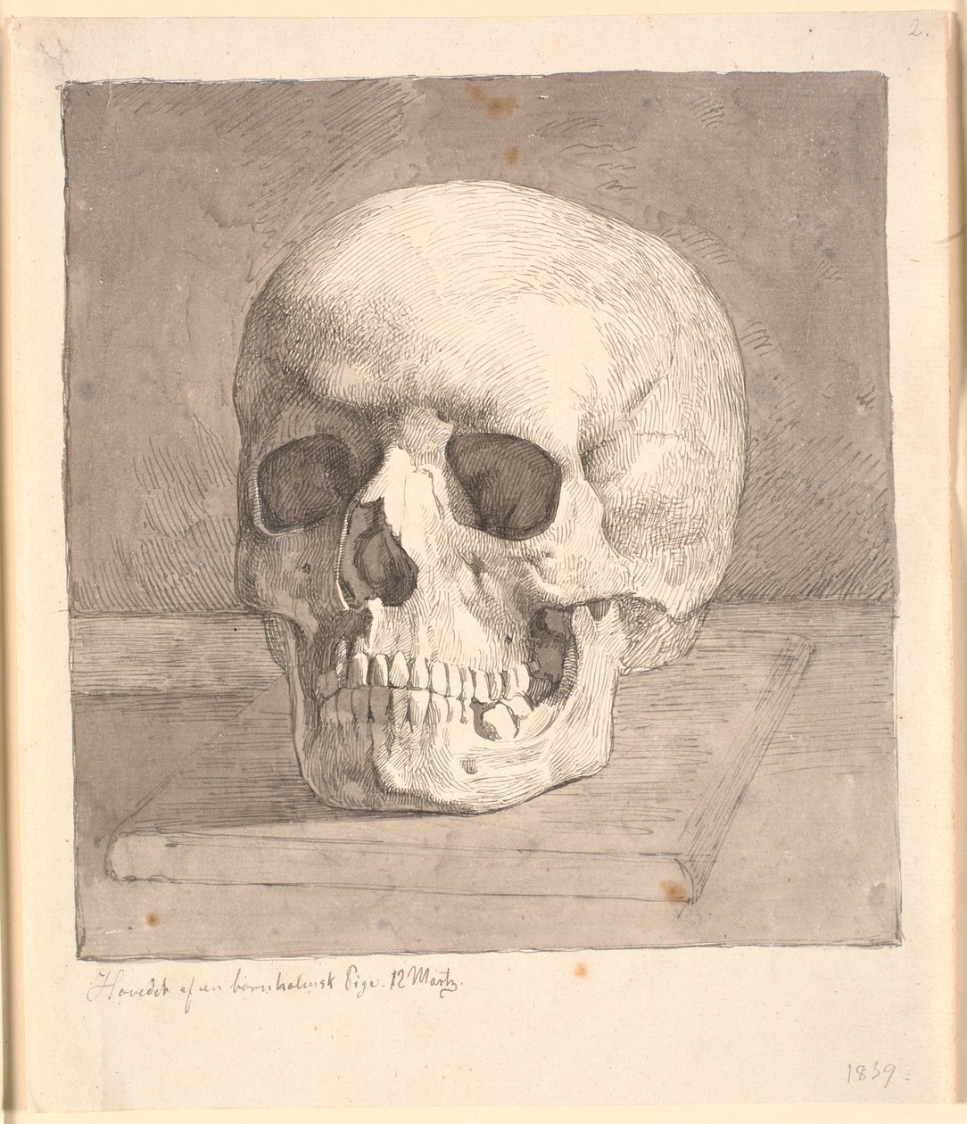 Crânio, vista frontal de Johan Thomas Lundbye