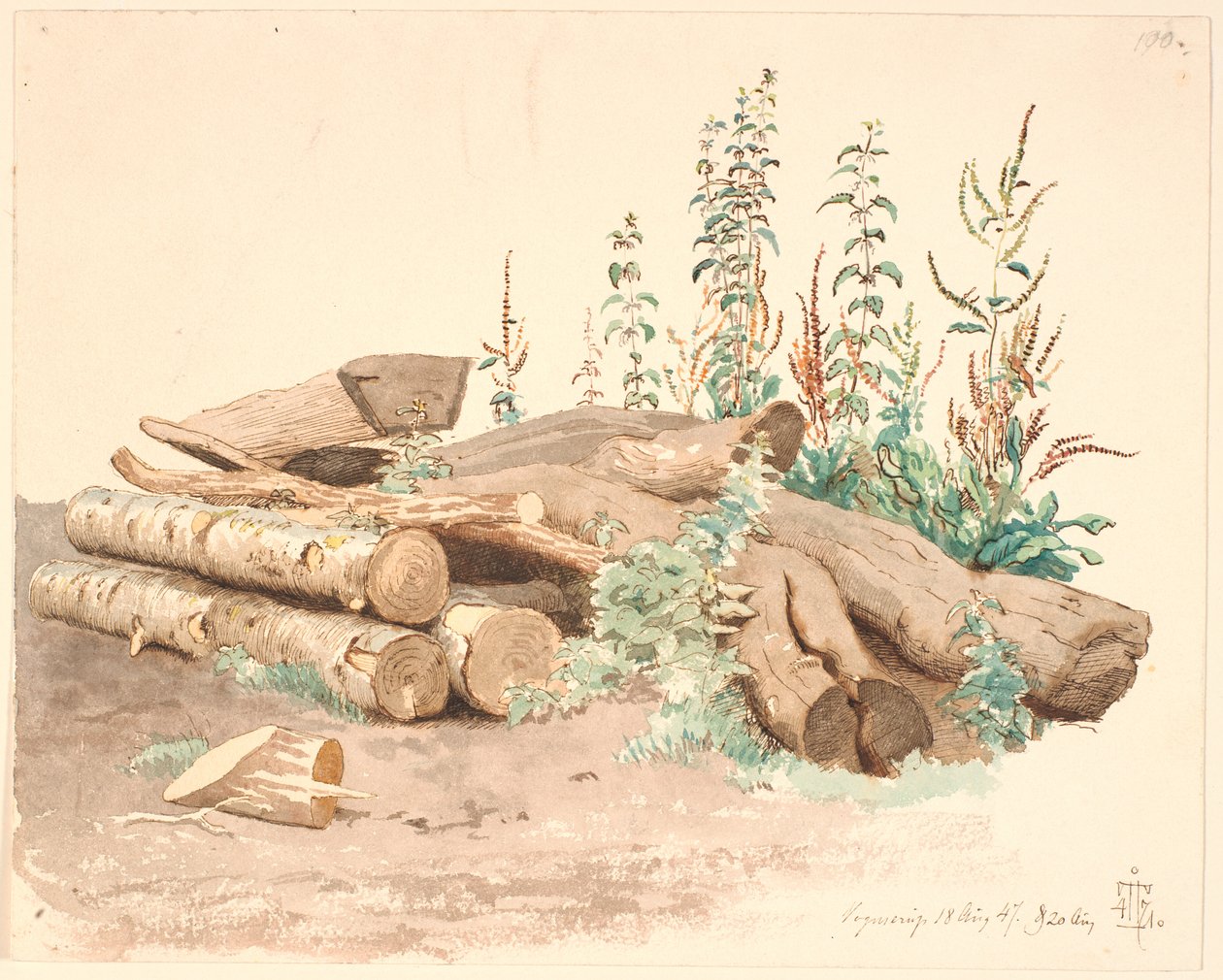 Alguns troncos de árvores derrubados, uma calha de água e vários crescimentos de plantas de Johan Thomas Lundbye