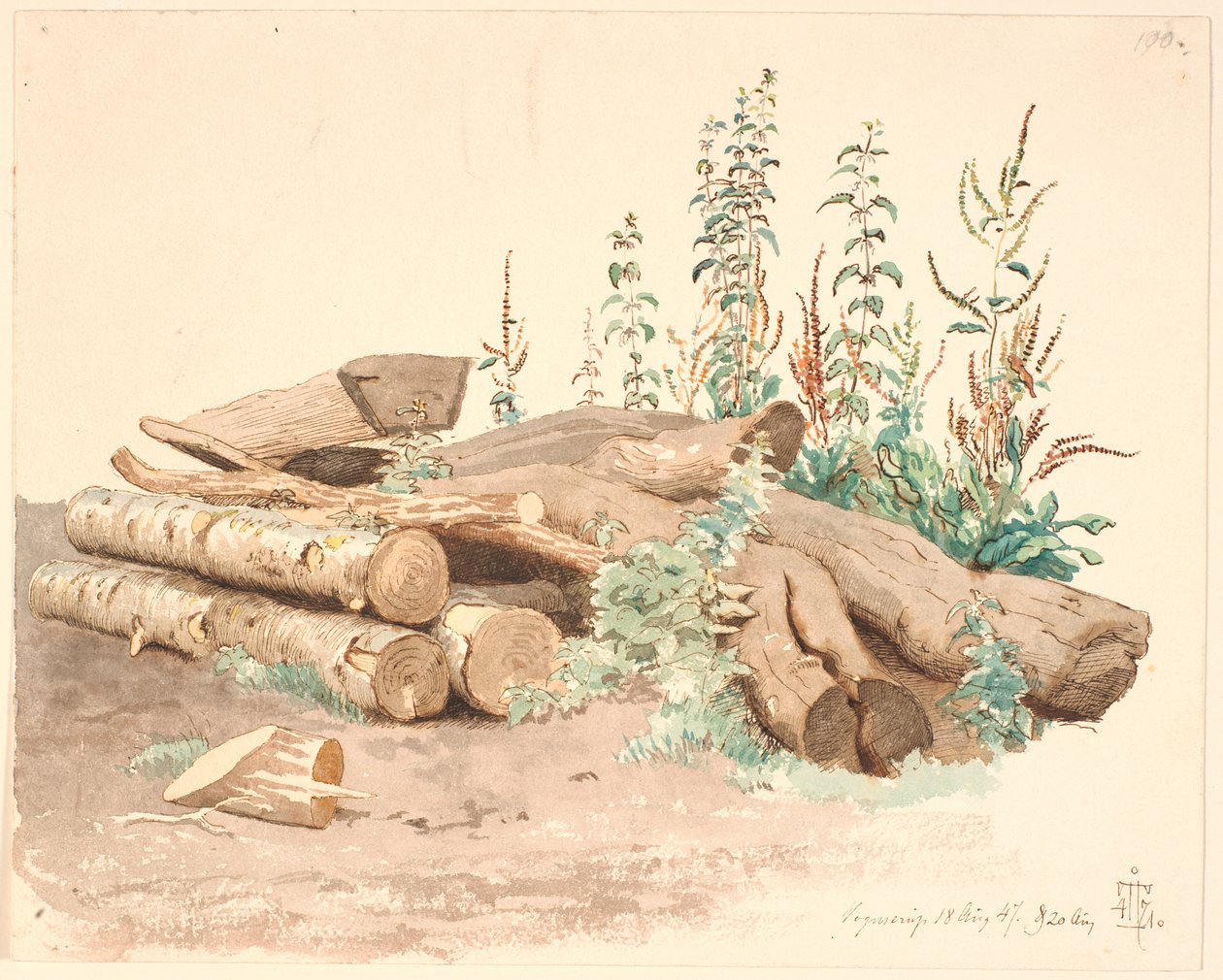Alguns troncos de árvores derrubados, uma calha de água e vários crescimentos de plantas de Johan Thomas Lundbye