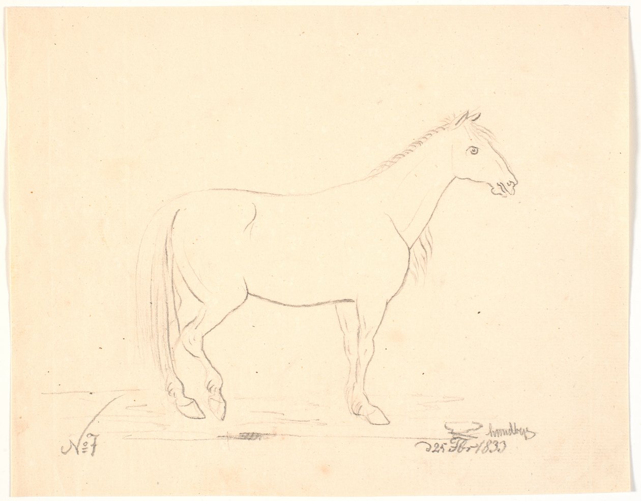 Cavalo em pé no perfil t.h. de Johan Thomas Lundbye