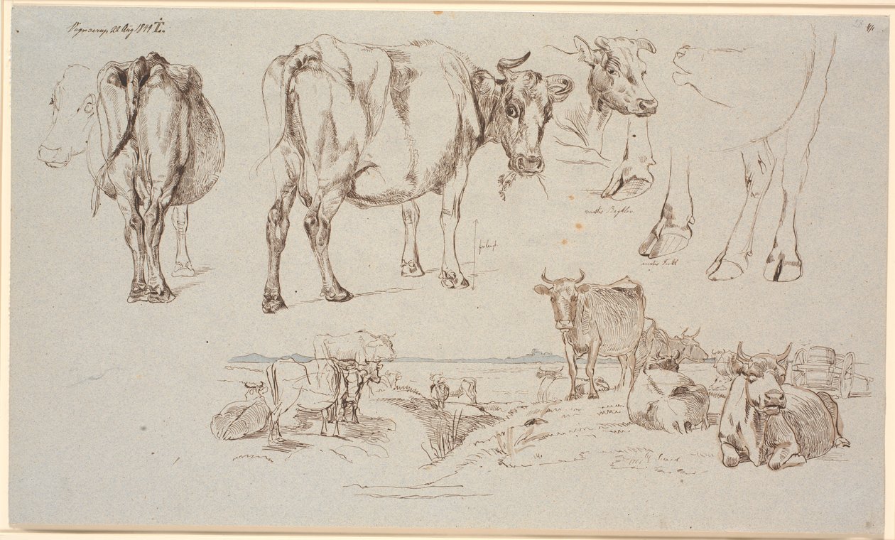 Revista de estudo da Vognserup. Acima estudos de vacas, f.n. paisagem com vacas em pé e deitadas de Johan Thomas Lundbye