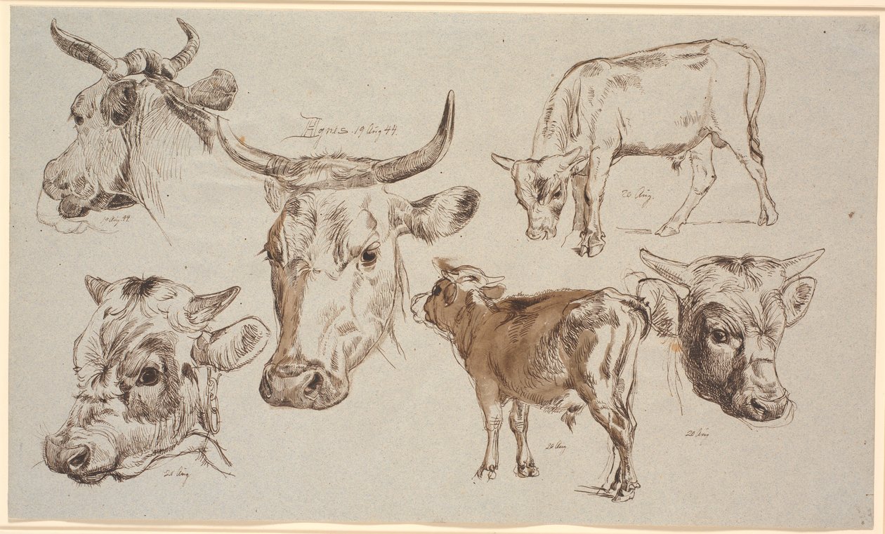 Revista de estudo da Vognserup. Estudos de cabeças de vacas, bezerros e suas cabeças de Johan Thomas Lundbye