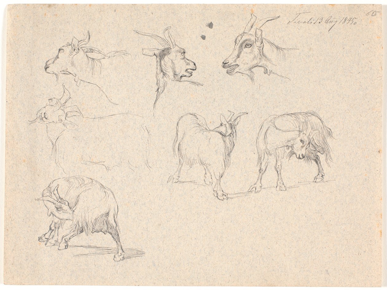 Estudos de cabras de Johan Thomas Lundbye