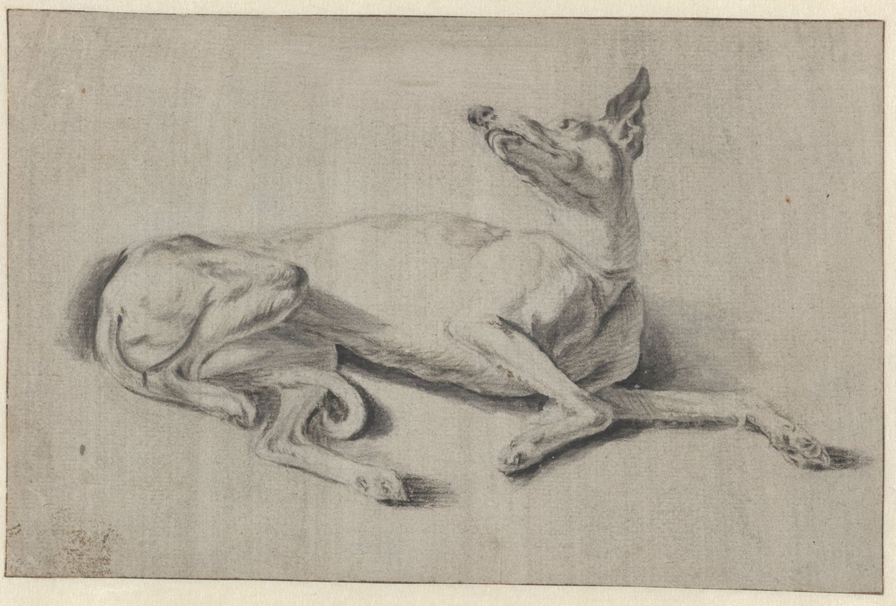 Galgo de galgo de reclinação de Johan le Ducq (possibly)
