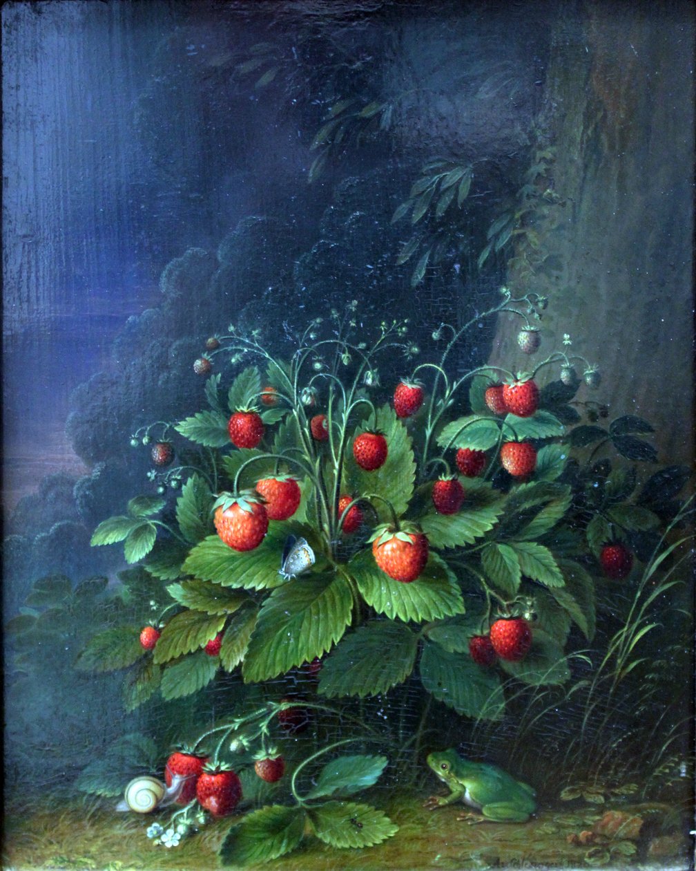 Morangos de Johann Adam Schlesinger